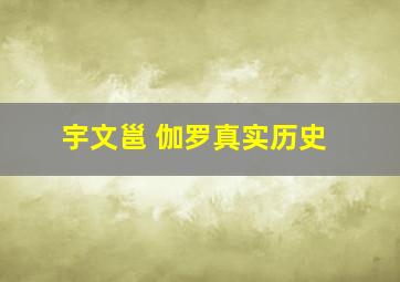 宇文邕 伽罗真实历史